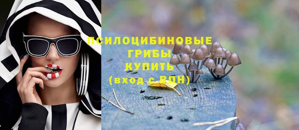 спиды Алексеевка
