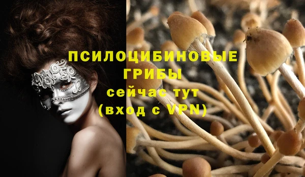 Альфа ПВП Абдулино